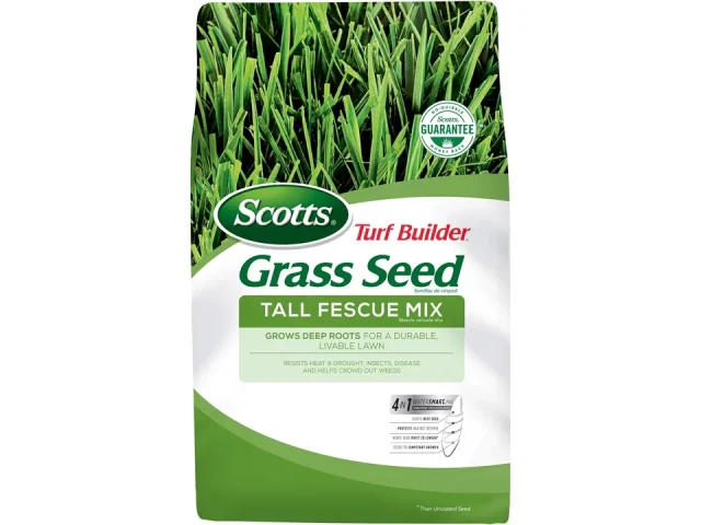 Scotts Turf Builder Grass Seed – Honest Review