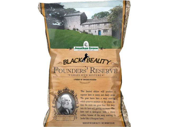 Jonathan Green Black Beauty Founders’ Reserve Tall Fescue
