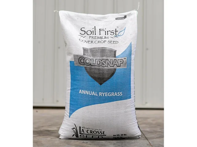 Annual Ryegrass Seed – Pros & Cons