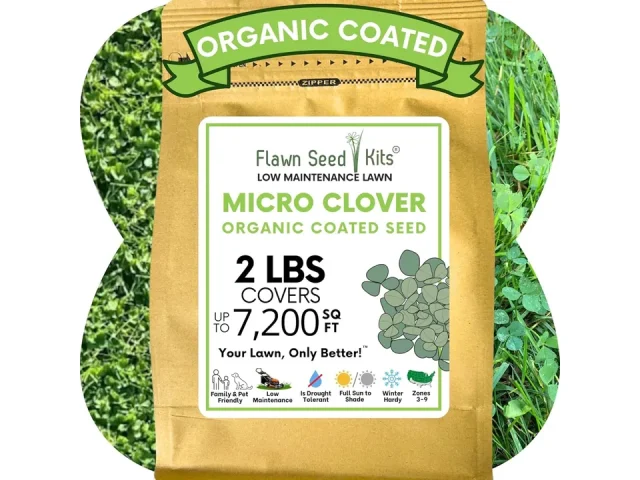 Flawn Seed Kits Micro Clover Seed – Is It Worth the Money?