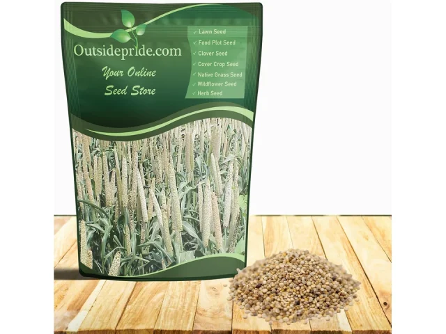 Outsidepride 10 lb Pearl Millet Seed – Honest Review