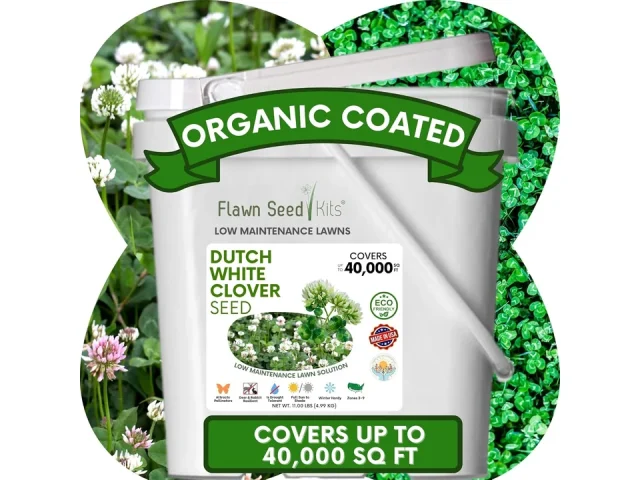 Flawn Seed Kits Dutch White Clover Seeds Organic – Detailed