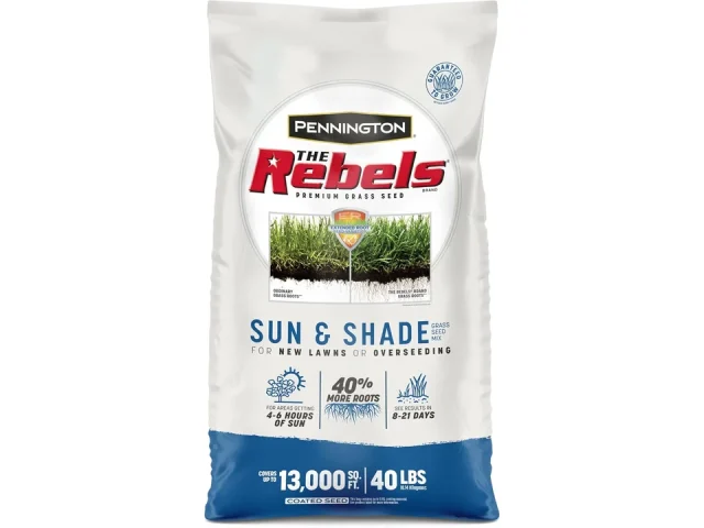 The Rebels Pennington Sun Shade Grass – In-Depth Review