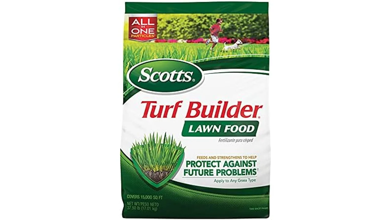 Scotts Turf Builder Lawn Food - Honest Review 23 featured 123
