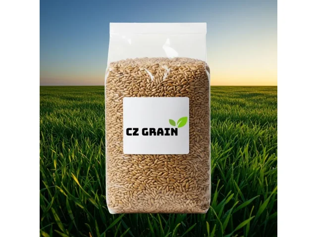 Winter Rye Seeds – In-Depth Review