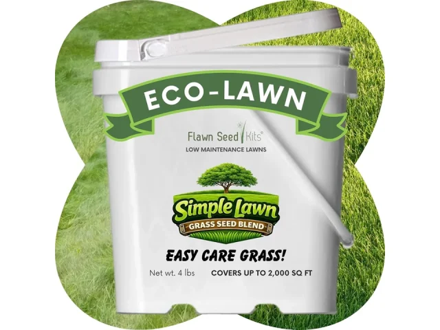 Flawn Seed Kits Simple Lawn Mow Less Fine – Honest Review
