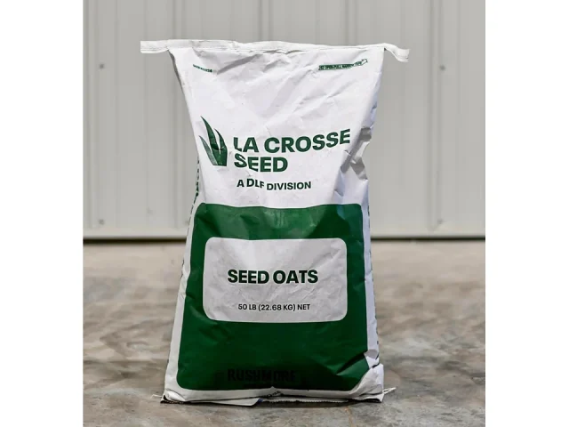 Rushmore Oats Seed Planting 50 lb Bulk Spring – In-Depth