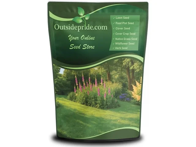 Outsidepride Sheeps Fine Fescue Grass Seed – 25: Pros & Cons