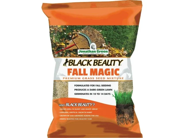 Jonathan Green Black Beauty Fall Magic Grass Seed