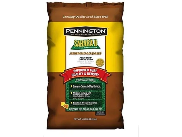 Pennington Sahara II Bermuda Grass Seed – Honest Review
