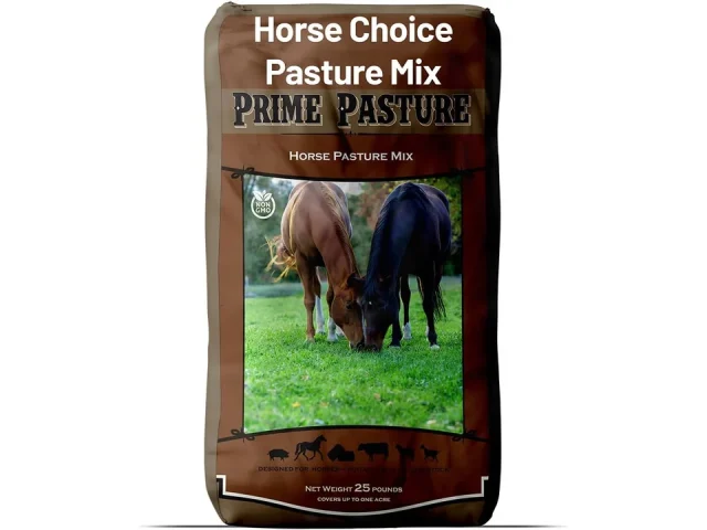 Outsidepride Horse Choice Pasture & Livestock Grass Seed