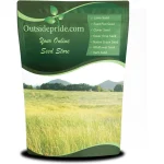 featured 1278