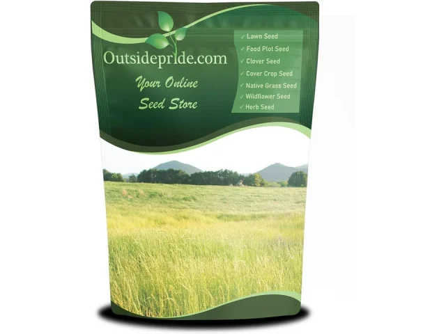 Outsidepride Teff Grass Seed – In-Depth Review