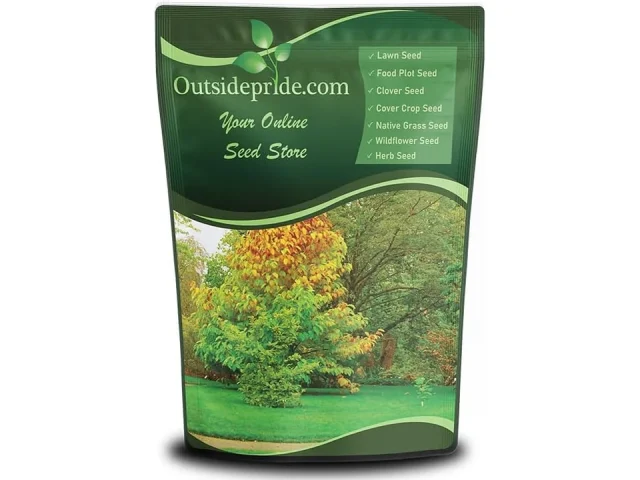 Outsidepride Hard Fine Fescue Grass Seed – 10 lbs. Detailed