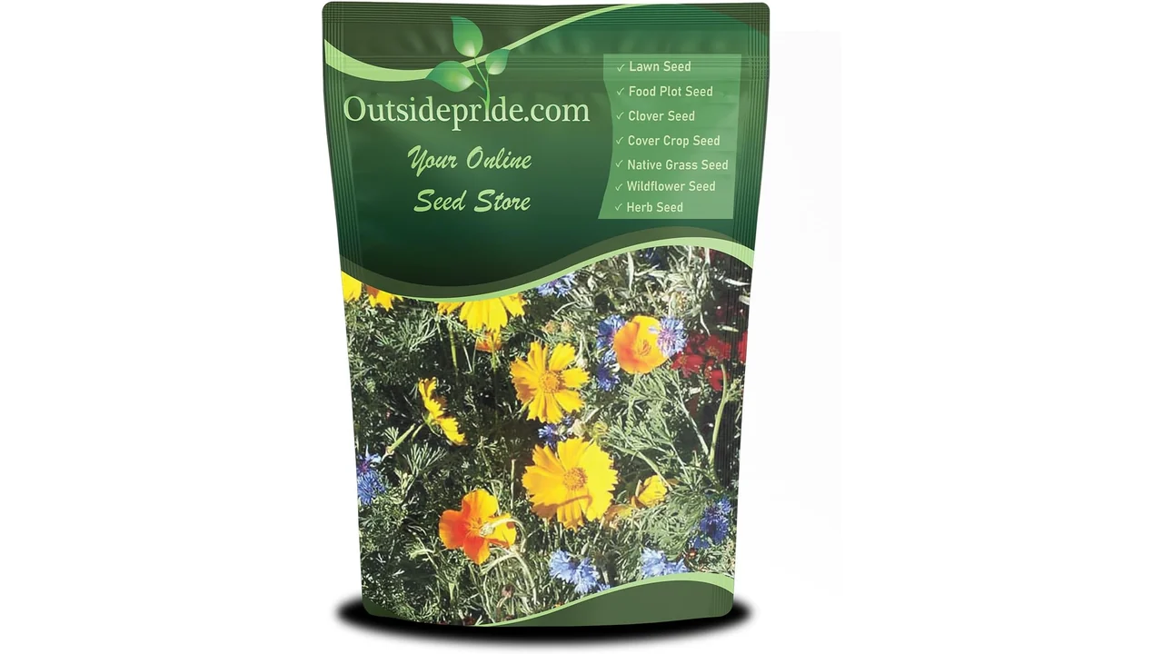 featured 1286