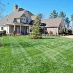 featured 1289