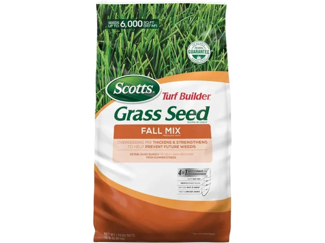 Scotts Turf Builder Grass Seed Fall Overseeding Mix: Honest