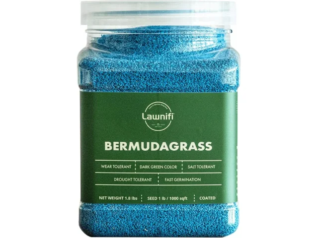 Lawnifi Bermuda Grass Seeds – In-Depth Review