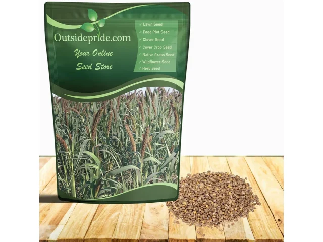 Outsidepride 50lb Japanese Millet Pasture Seed – Is It Any