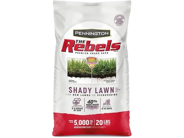 Pennington The Rebels Shady Lawn Grass Seed Blend – Honest