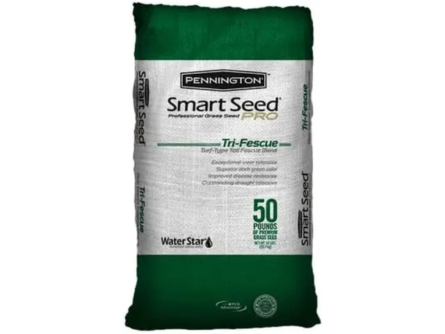Pennington Smart Seed Pro Tri-Fescue 50 LB Bag – In-Depth