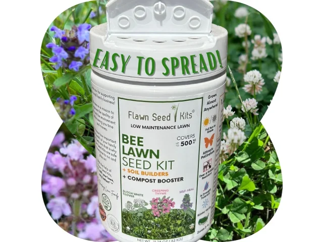 Flawn Bee Lawn Seed Kit, 500 SqFt – Detailed Review