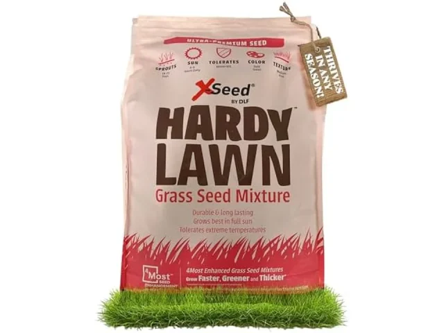 X-Seed Hardy Lawn Grass Seed – In-Depth Review