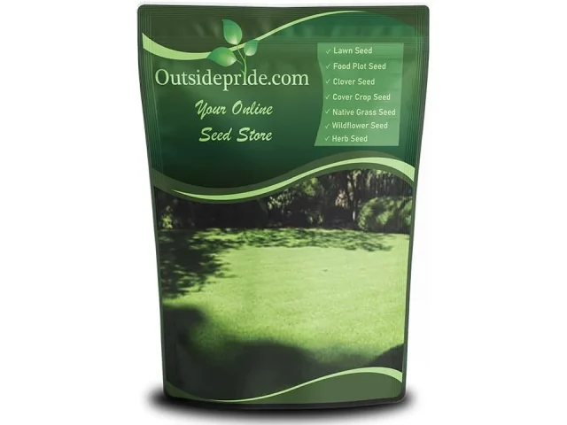 Outsidepride 5 Lbs Supranova Shade Grass Mix – Honest Review
