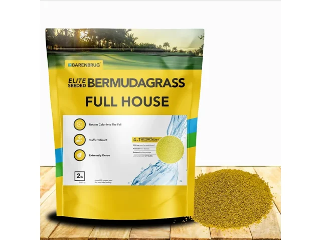 Outsidepride Full House Bermuda Grass Seed Mix – Expert