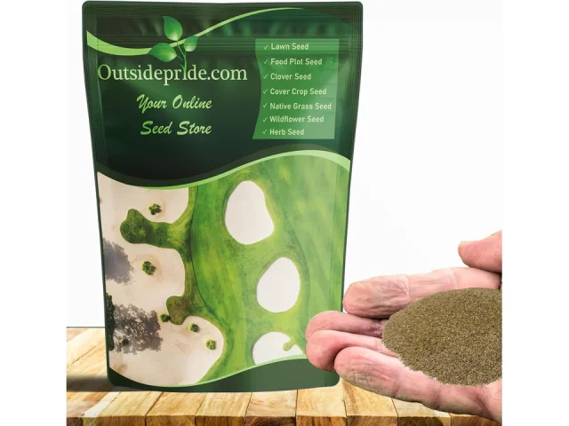 Outsidepride Crystal Bluelinks Grass Seed – In-Depth Review