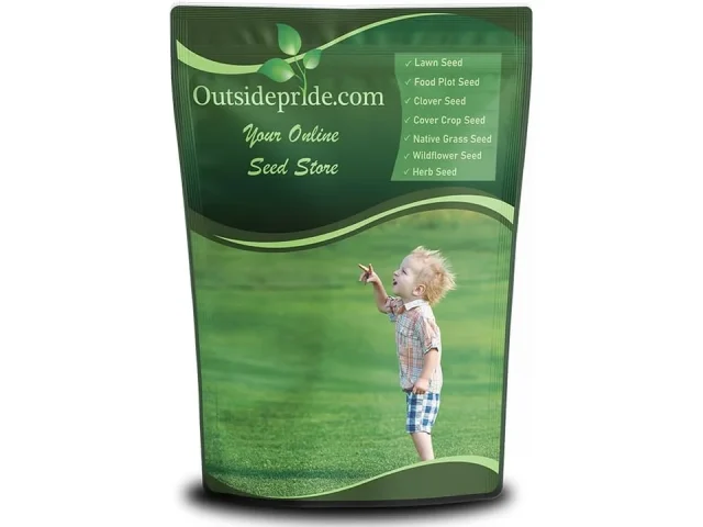 Outsidepride Showtime Perennial Lawn Grass Seed Mix