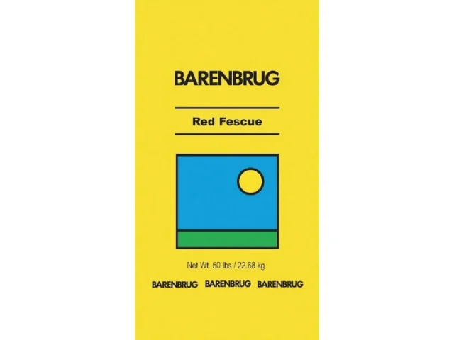 BARENBRUG USA 491137 50 lb Pro Red Fescue – In-Depth Review