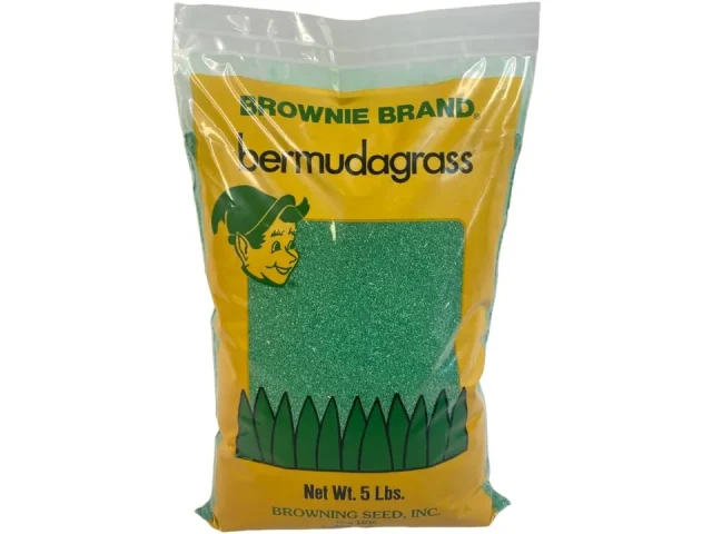 Brownie Brand Bermudagrass – In-Depth Review