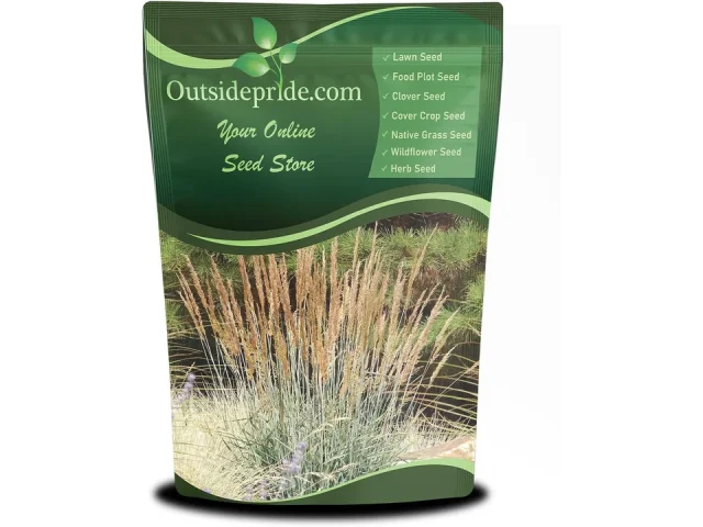 Outsidepride Indian Native Grass Seed – In-Depth Review