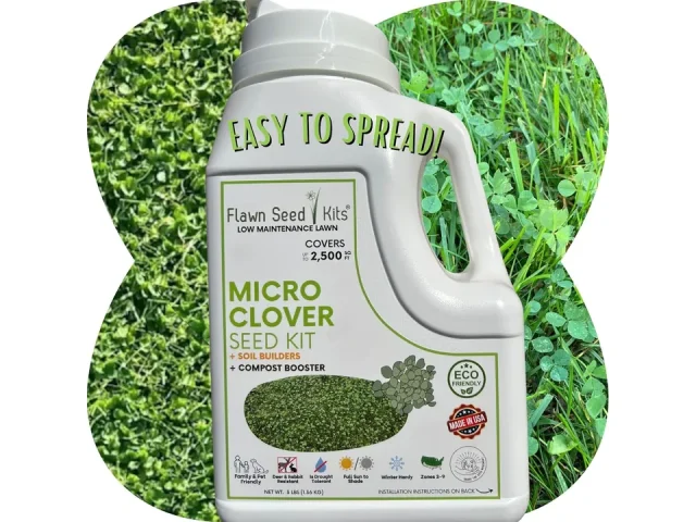 Flawn Seed Kits Micro Clover Seed Kit – In-Depth Review