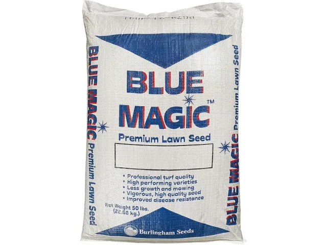 Pendelton: Burlingham Seeds Blue Magic Overseed – Pros &