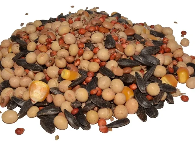 Hancock’s Buckshot Spring Food Plot Seed Mix – Pros & Cons