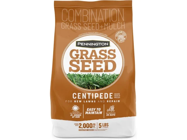 Pennington Centipede Grass Seed & Mulch 5 LB – Honest Review