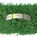 featured 1366