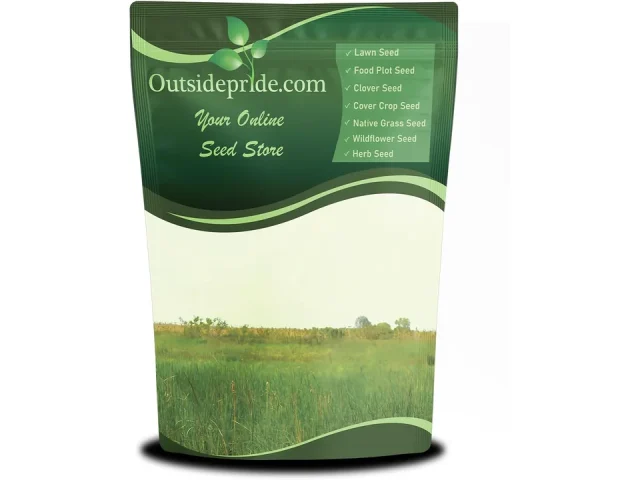 Outsidepride Perennial Little Bluestem Grass Seed – Buyer’s