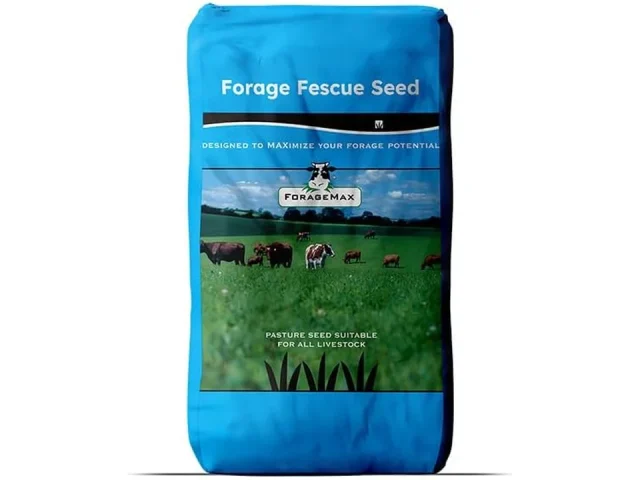 Outsidepride Forage Tall Fescue Grass Seeds: Complete Review