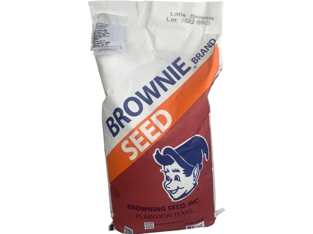 Browning Little Brownie BMR – In-Depth Review