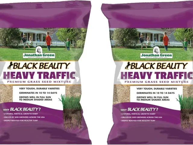 7-Lb. Heavy Traffic Grass Seed Mixture: Complete Review