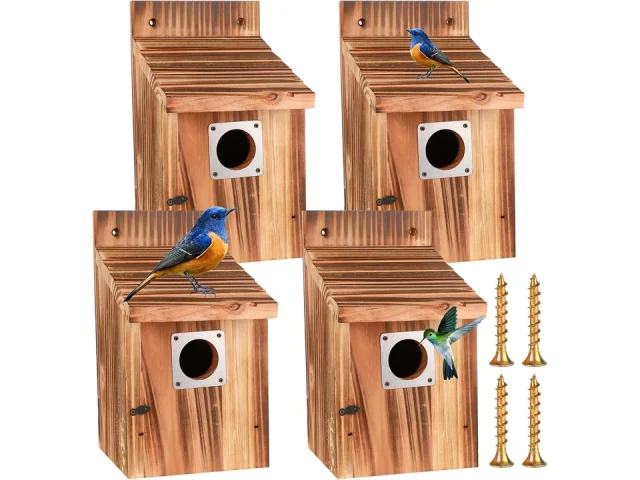 4-Piece Outdoor Bird House Set – Expert Review