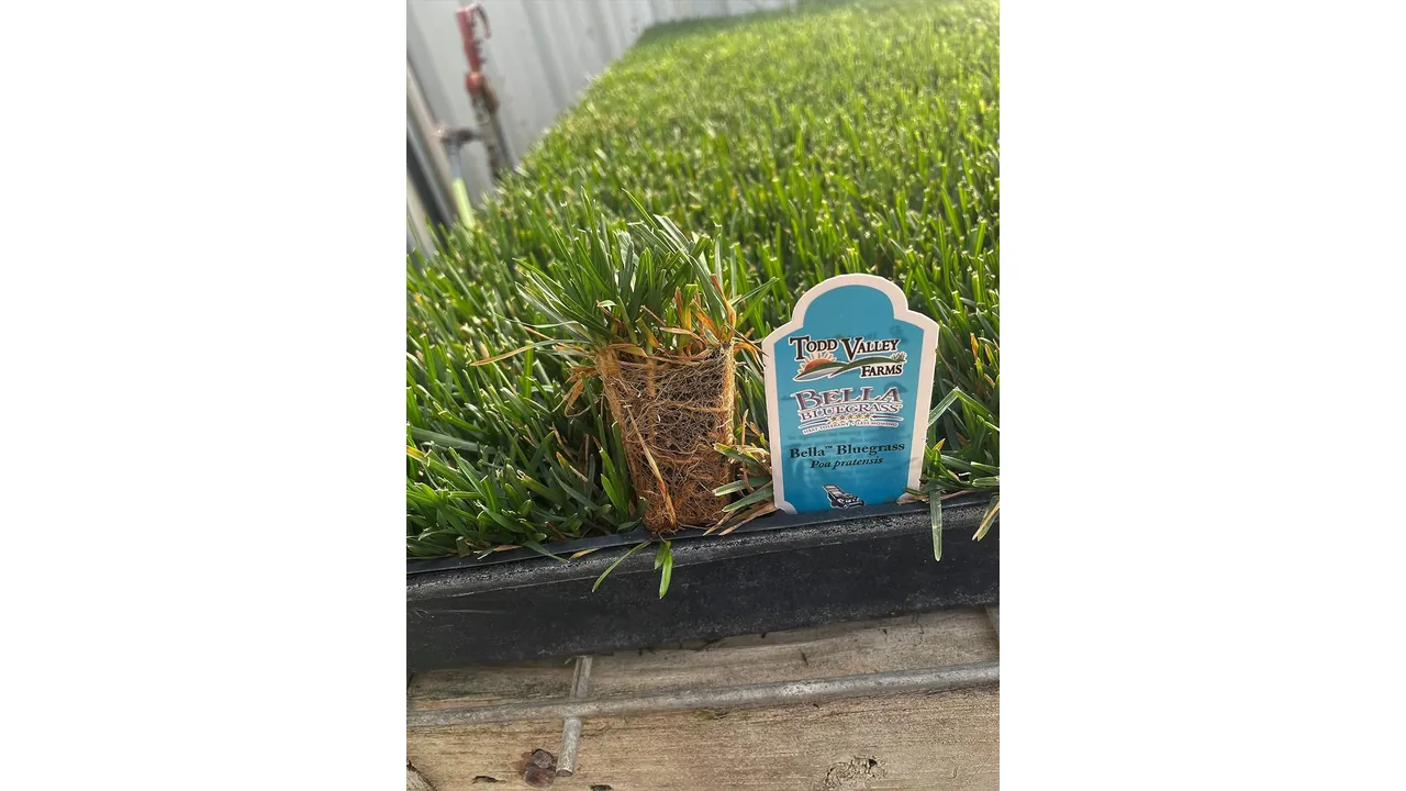 featured 1399
