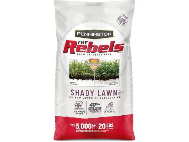 Seed Shade TL Fescue 20# – In-Depth Review