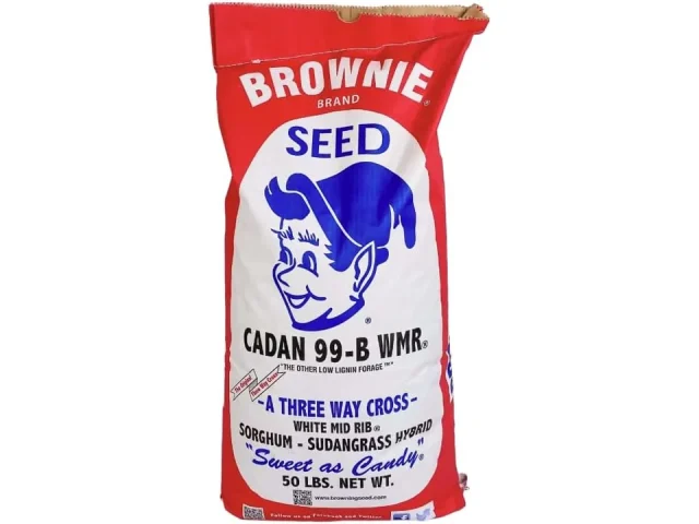 Browning Cadan 99B® WMR® Sorghum-Sudangrass Hybrid Seed
