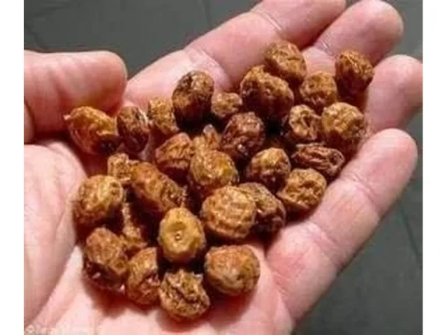 SeedRanch Chufa Seed – 25 Lbs. – Honest Review