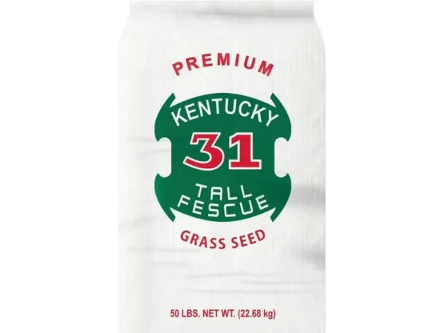 Kentucky 31 Tall Fescue 50lbs – Honest Review
