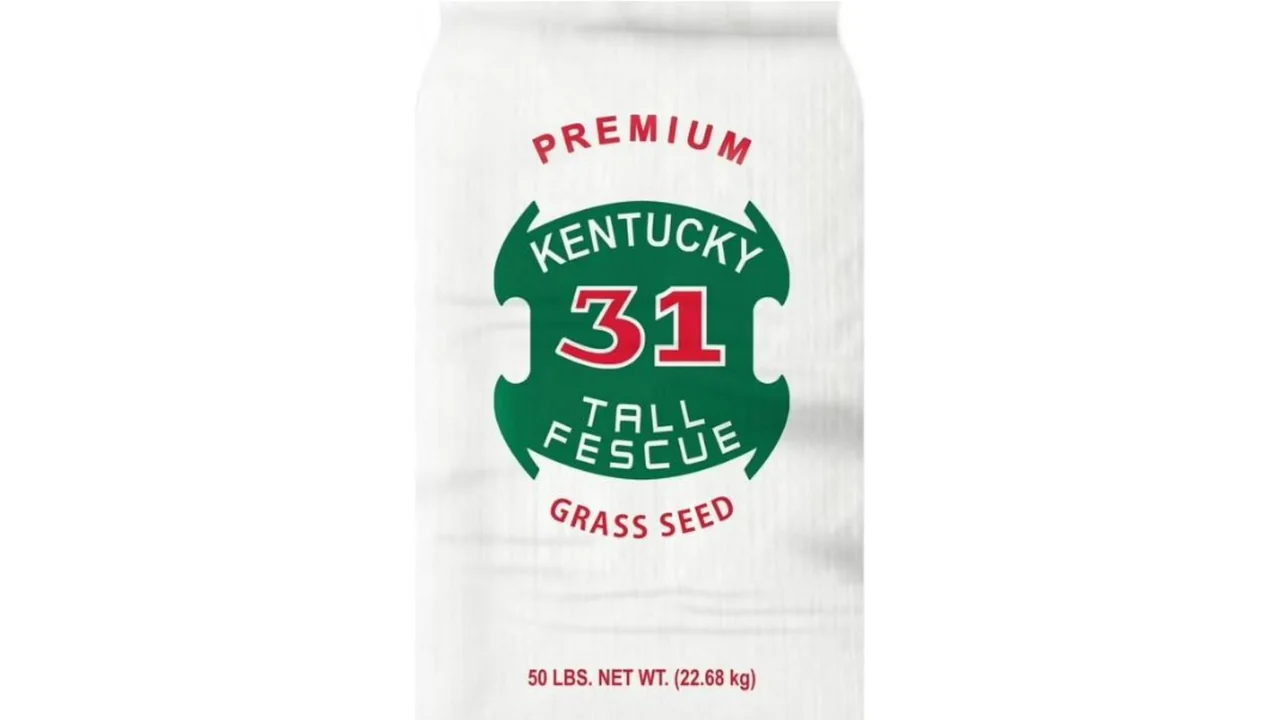 featured 1417